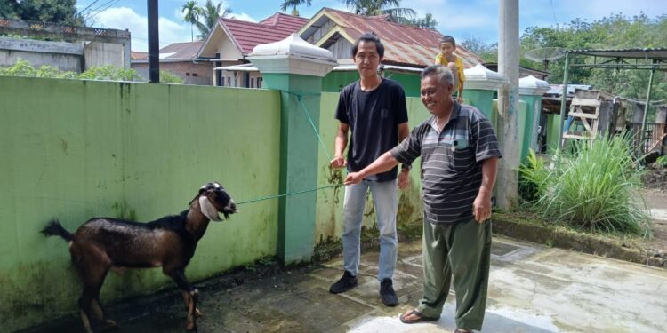 QR Hotel Lubuk Linggau Serahkan Kambing Kurban